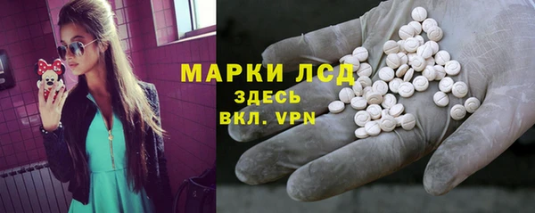ПСИЛОЦИБИНОВЫЕ ГРИБЫ Богданович