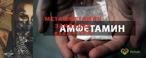 ПСИЛОЦИБИНОВЫЕ ГРИБЫ Богданович