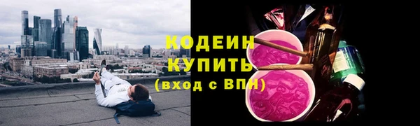 ПСИЛОЦИБИНОВЫЕ ГРИБЫ Богданович