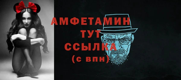 ПСИЛОЦИБИНОВЫЕ ГРИБЫ Богданович
