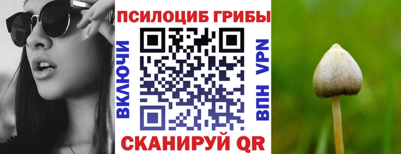 hydra   Туран  Галлюциногенные грибы GOLDEN TEACHER 
